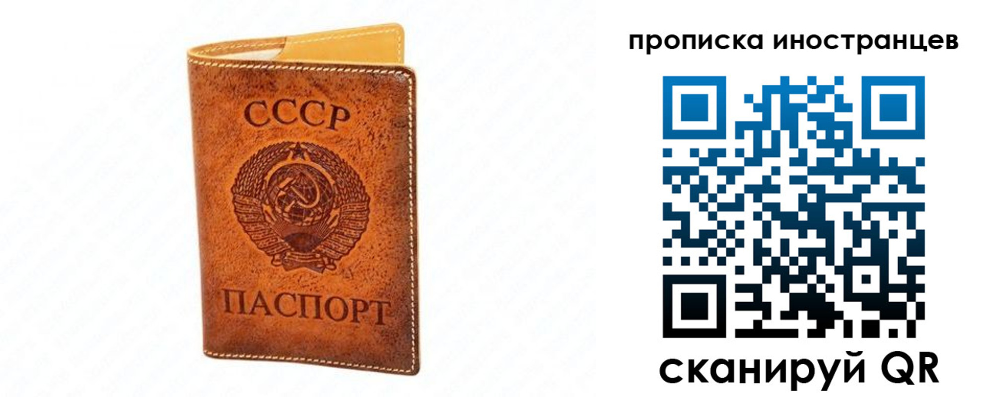 прописка для школы в Вышнем Волочке